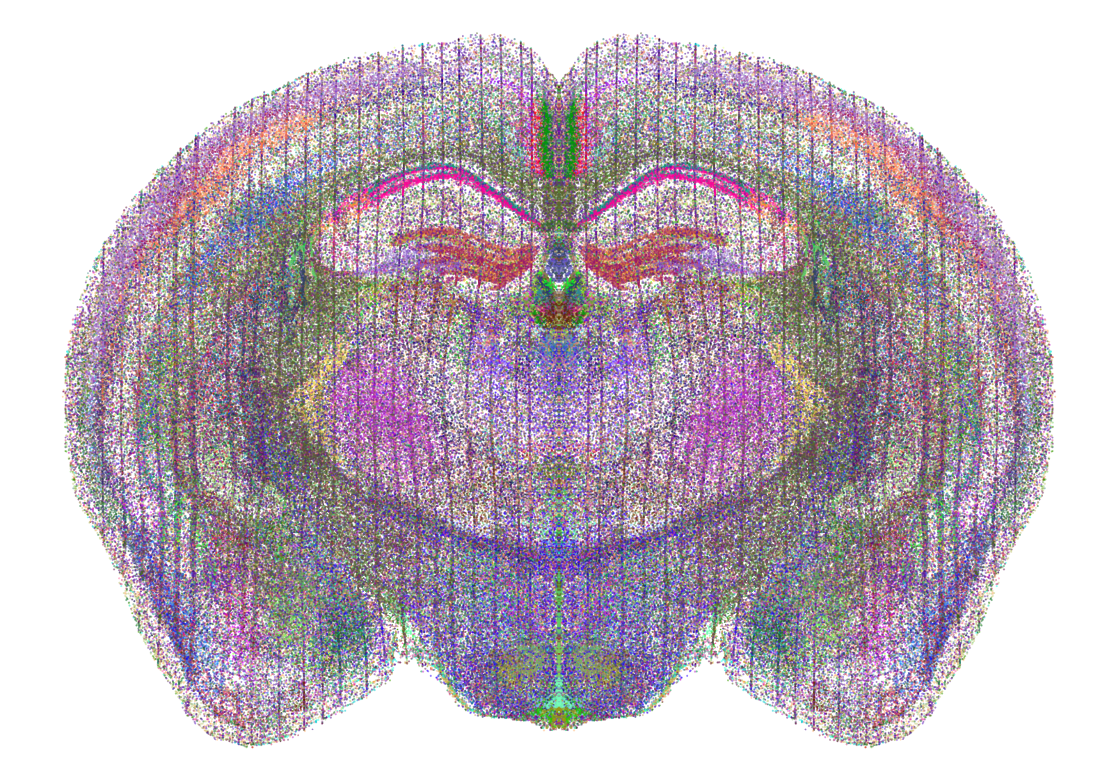 Brain Visualization 2