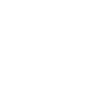 Consultancy Icon