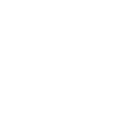 LSFM Icon